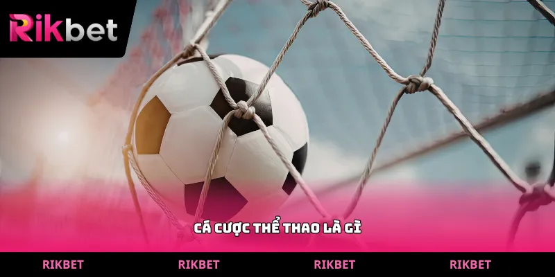 cá cược thể thao là gì